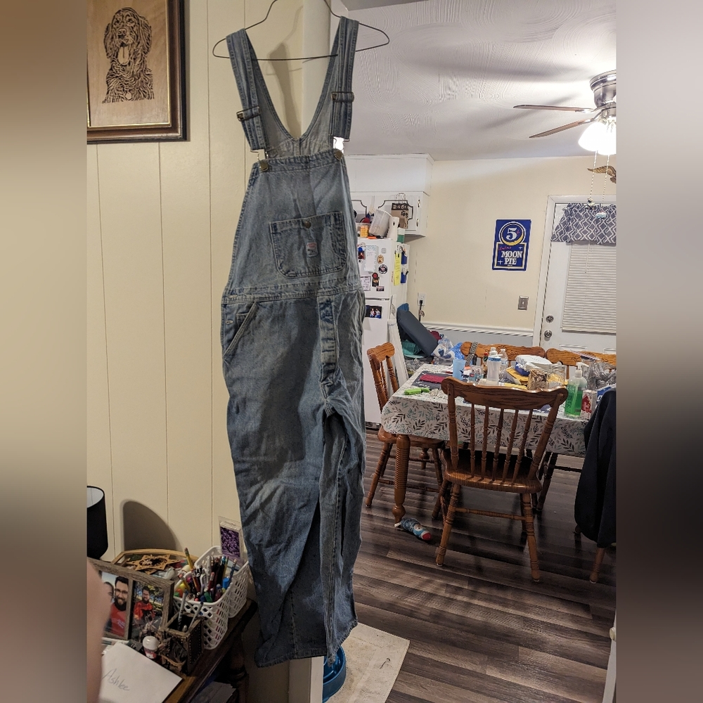 Pointer overalls